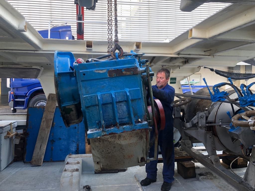 Imagen de Capitol 11 - 2018